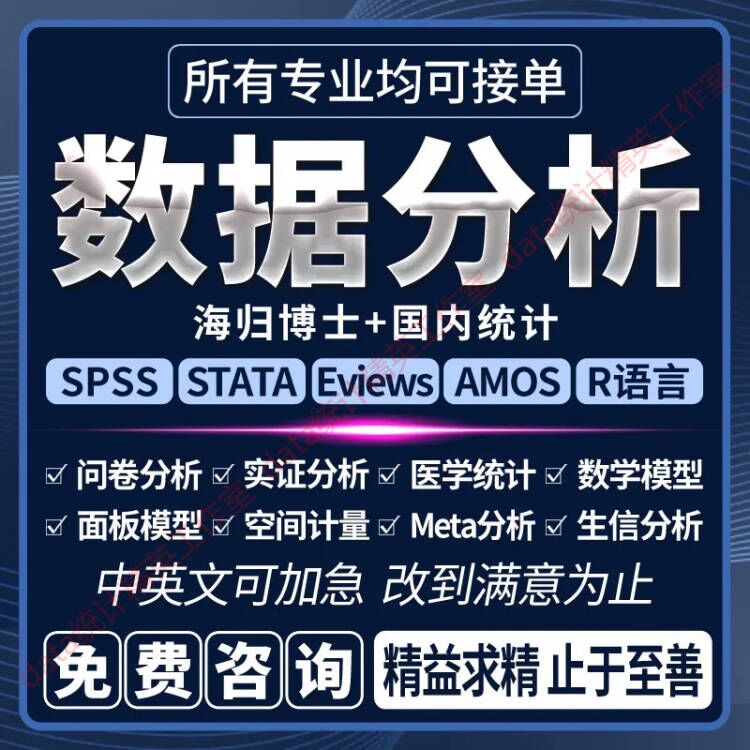 SPSS数据分析服务eviews实证stata调查问卷met